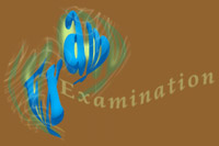 Examination